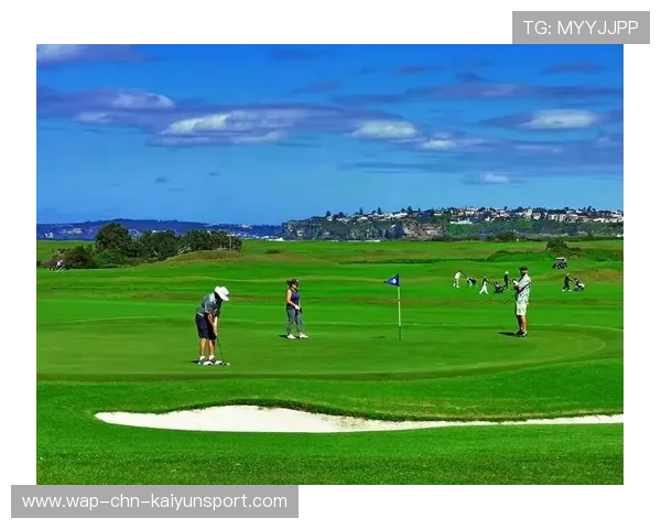 澳大利亚板球运动持续火热，观众人数创新高，澳大利亚板球队